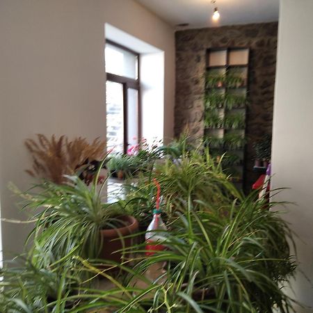Aia Kazbegi Hotel Kültér fotó